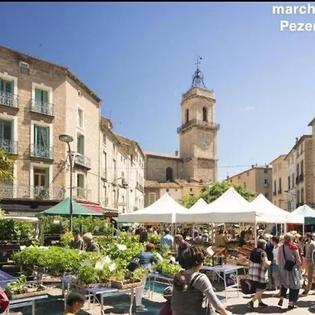 L'authentique Apartment Pezenas